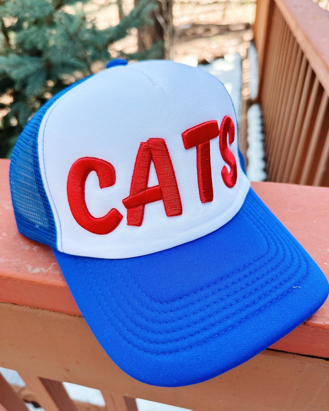 Let's Go Cats Hat
