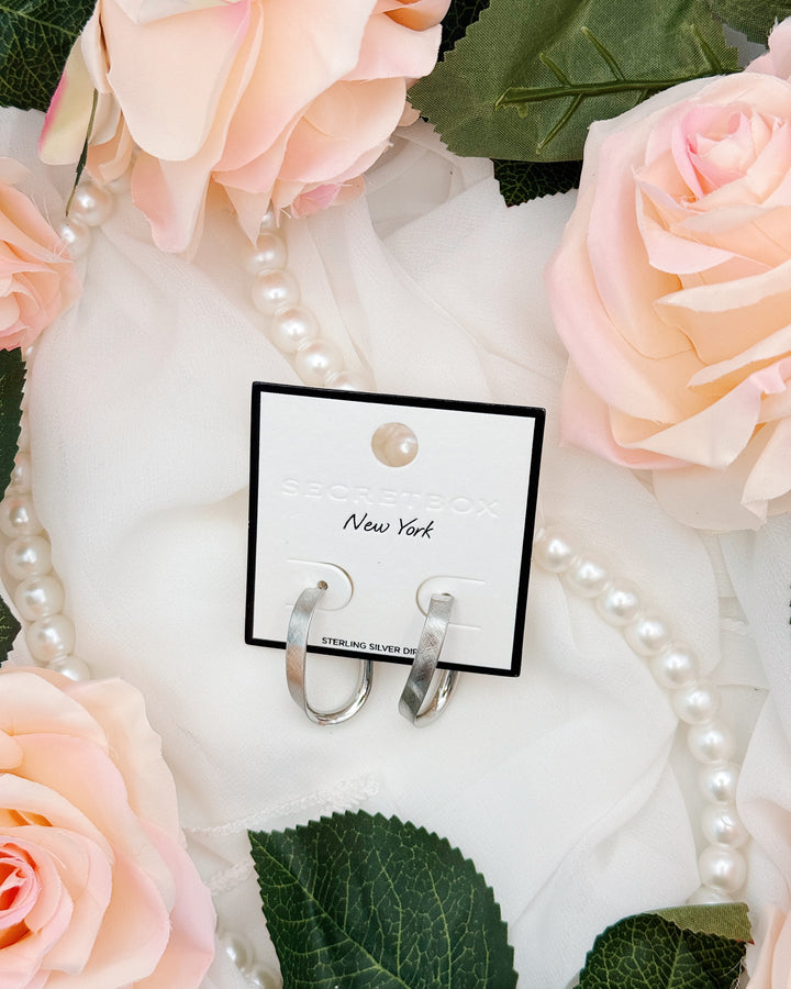 Your Everyday Hoop Earring