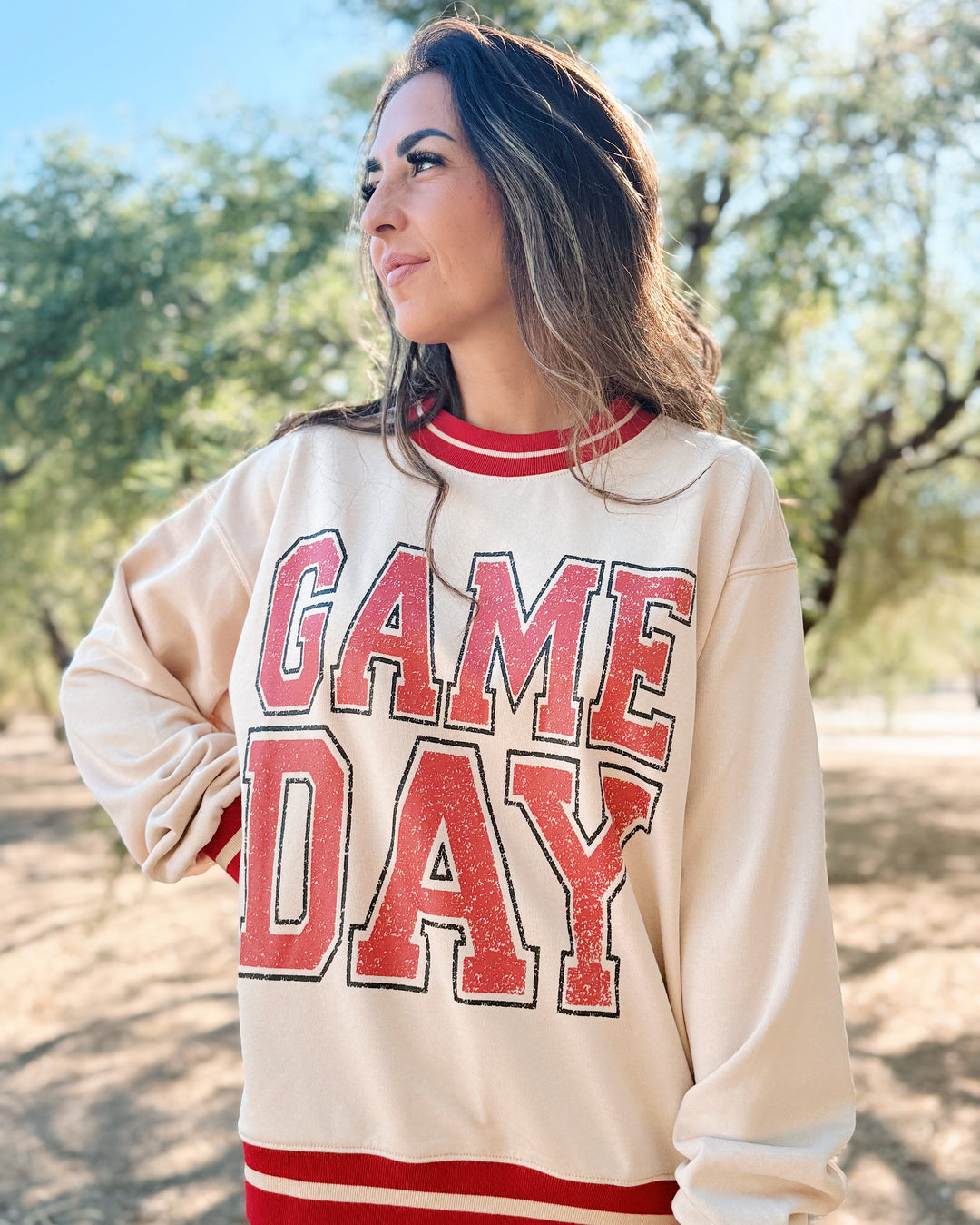 The Big Game Day Pullover Sweater