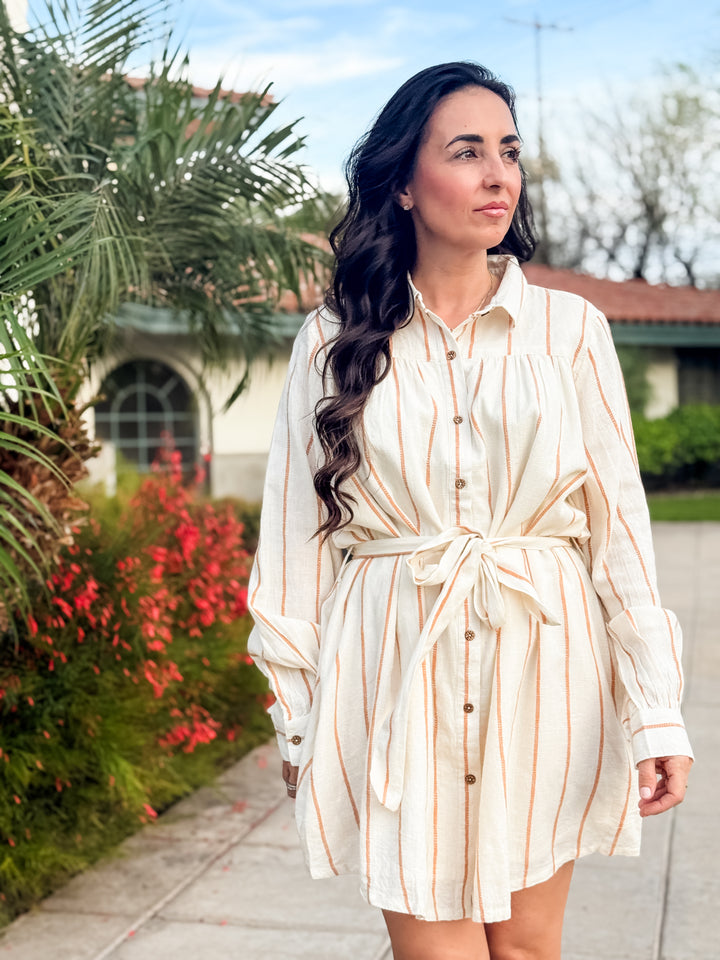 The Audrey Striped Long-Sleeve Mini Dress