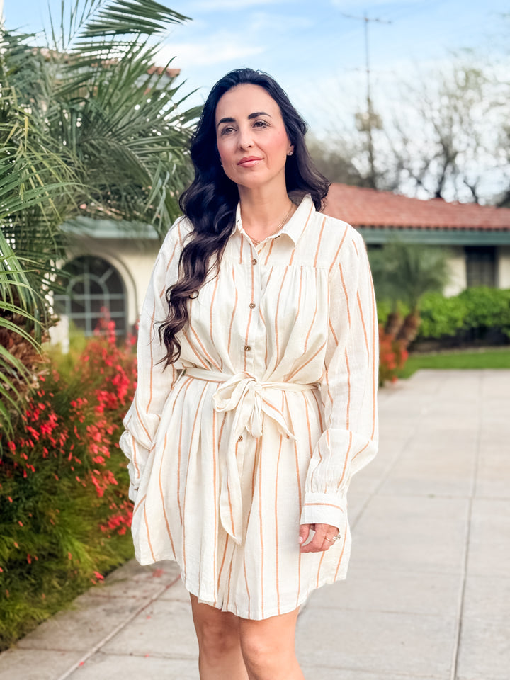 The Audrey Striped Long-Sleeve Mini Dress