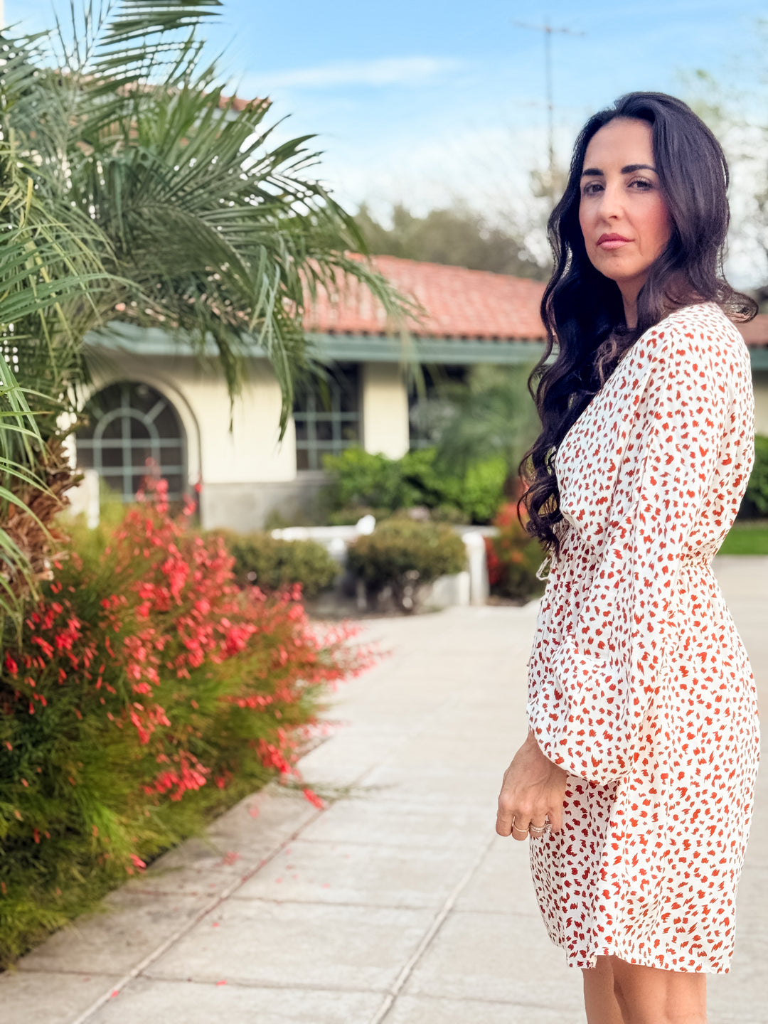 The Stella V-Neck Animal Print Dress