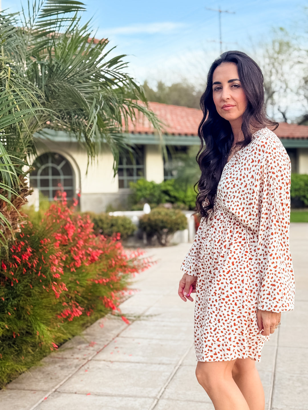 The Stella V-Neck Animal Print Dress