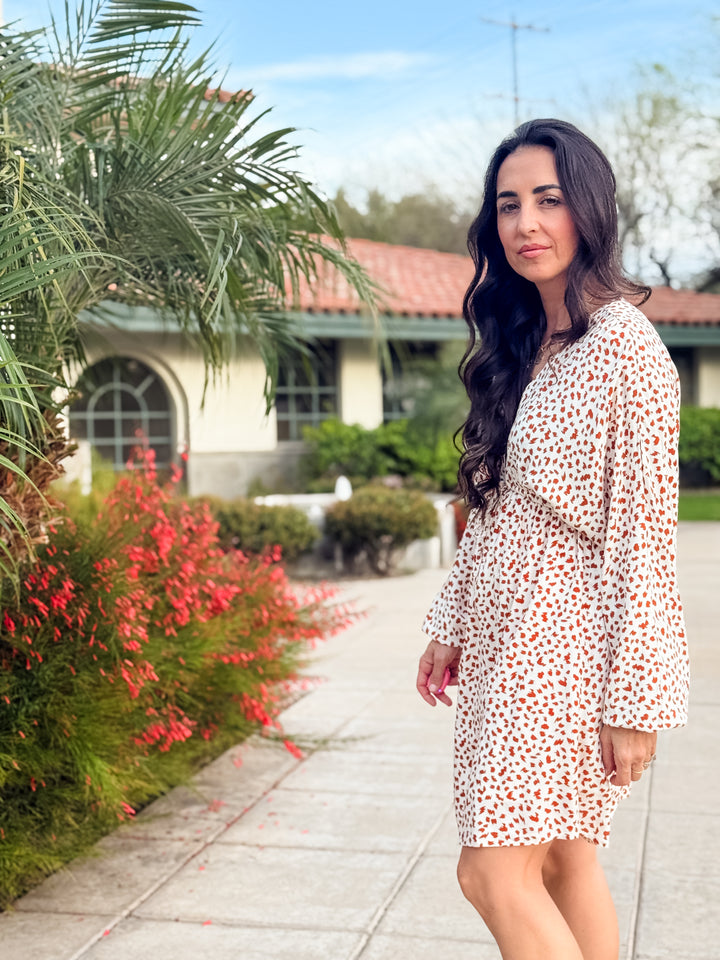 The Stella V-Neck Animal Print Dress