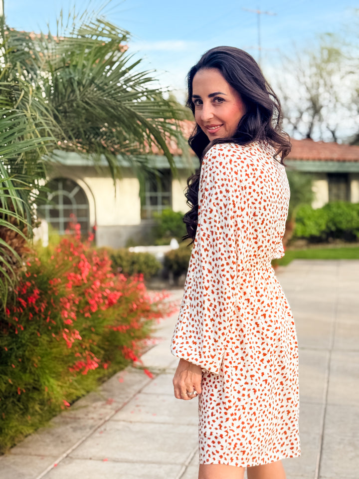 The Stella V-Neck Animal Print Dress