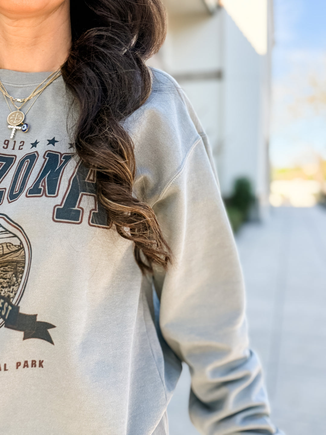 The Wild Wild West Sweatshirt