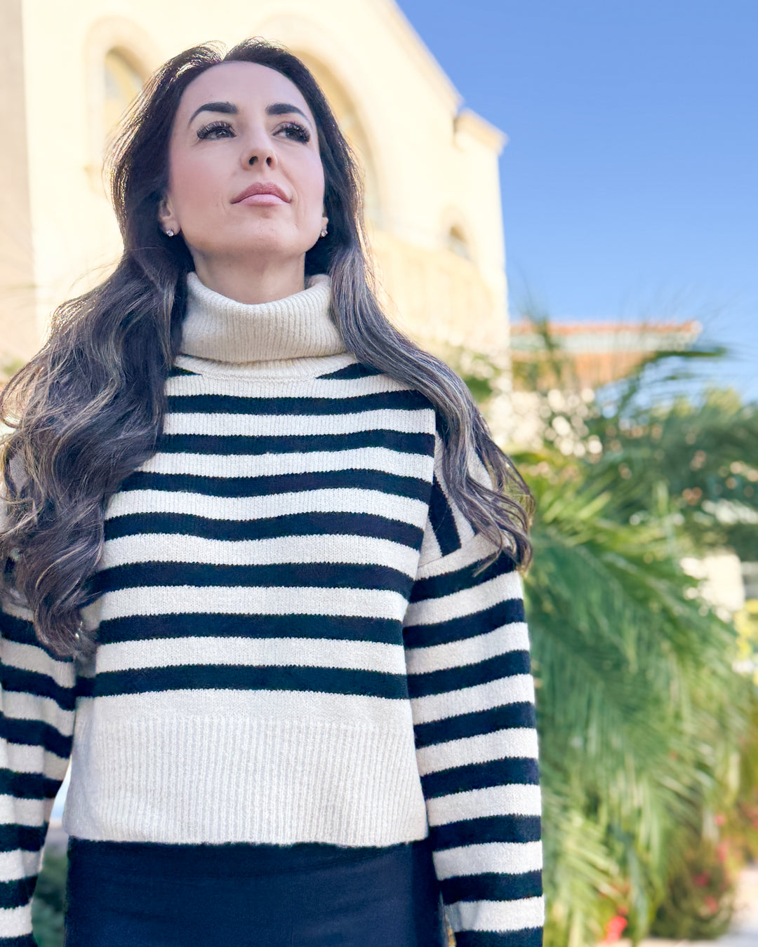 The_Macie_Striped_Turtleneck_Sweatshirt_4