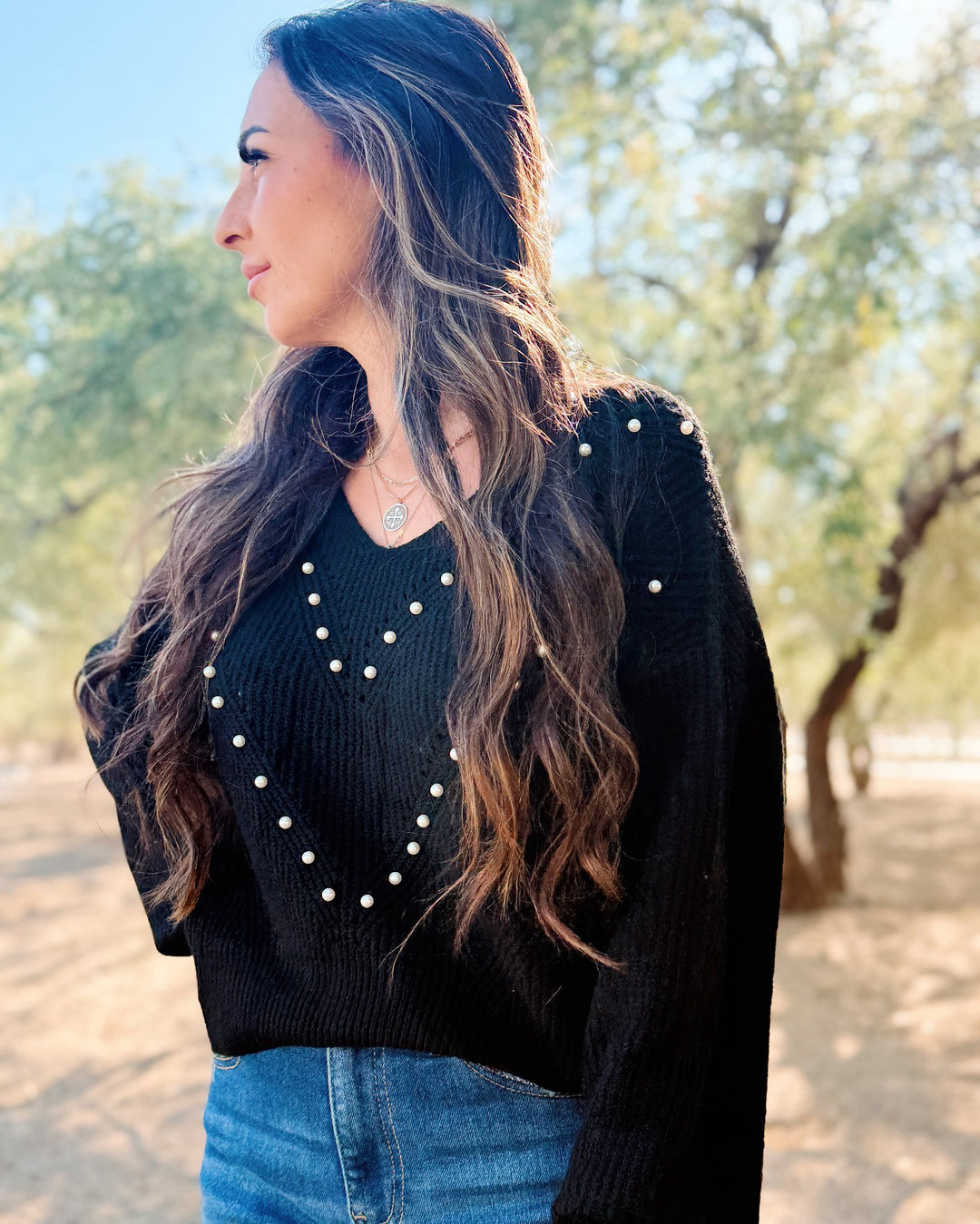 The Vanessa Pearled Sweater